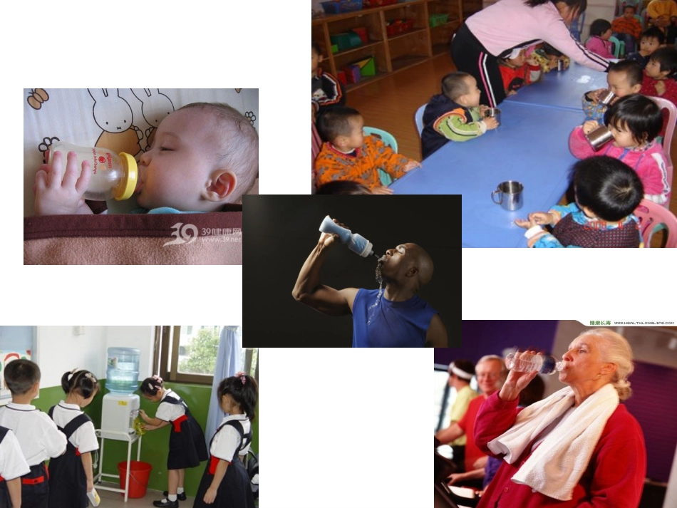 青岛版小学科学四年级上册《植物的茎》课件_第2页