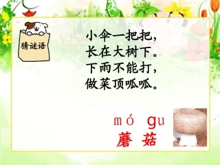 《蘑菇该奖给谁》