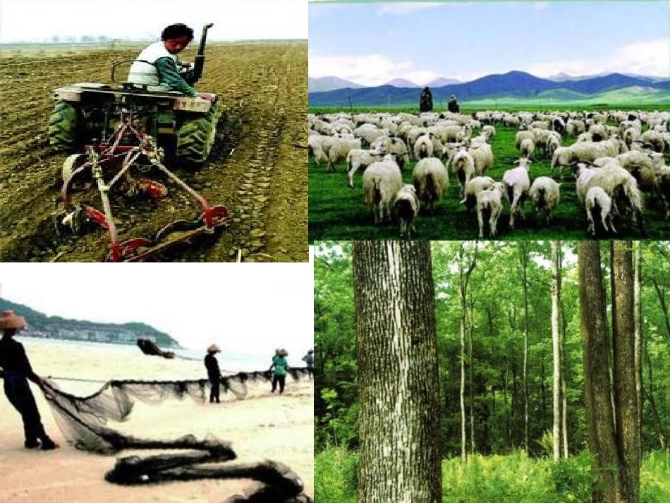 5《吃穿用哪里来》PPT课件_第3页