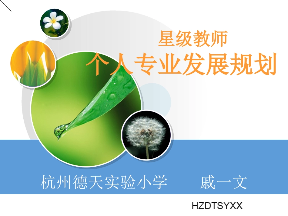 个人专业发展规划_第1页
