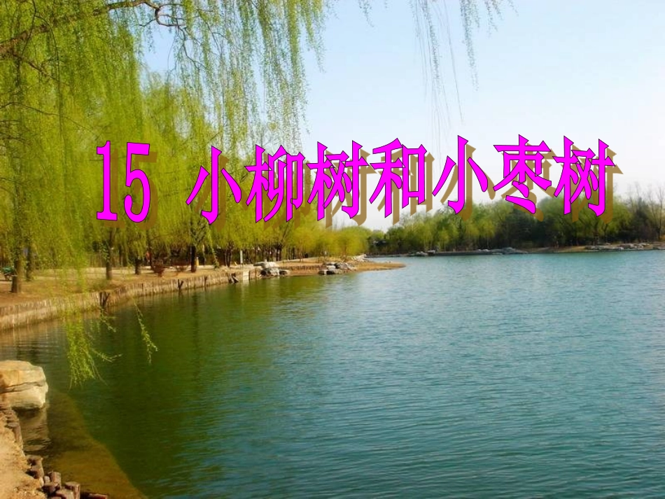 16小柳树和小枣树3_第1页