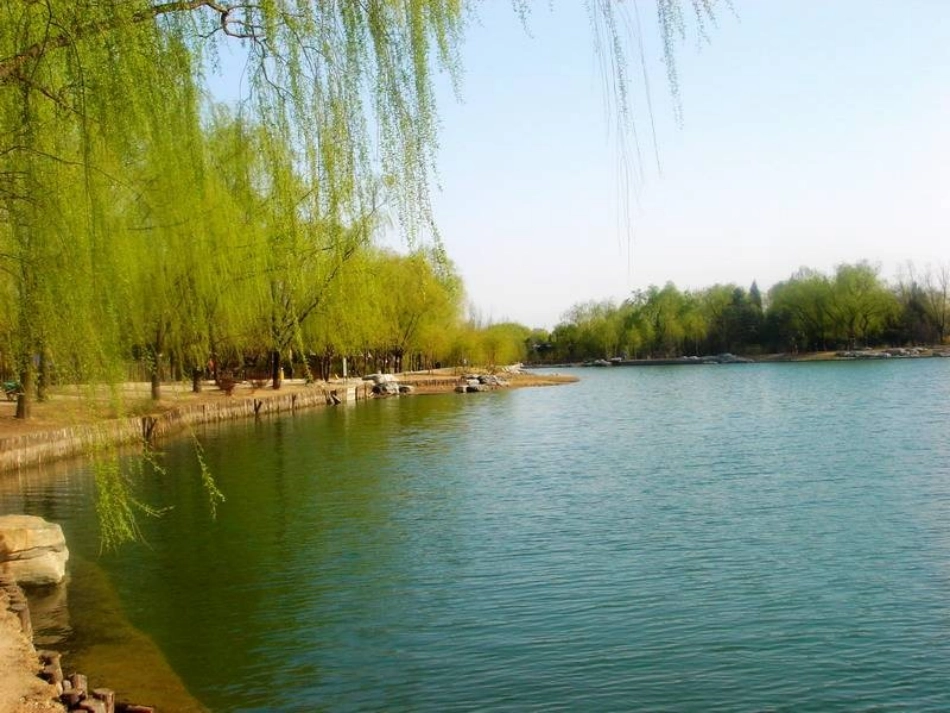 16小柳树和小枣树3_第2页