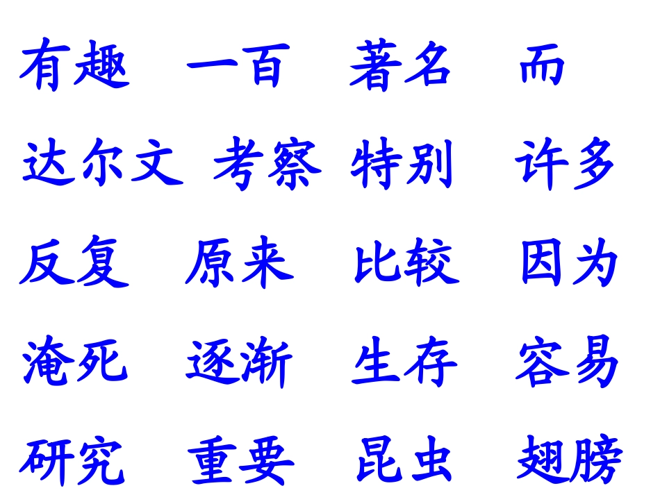 《有趣的发现》课件1_第2页
