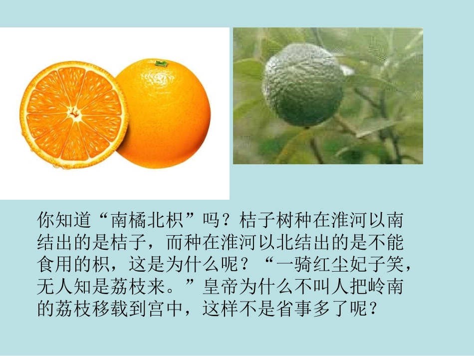 七年级上册《生物生存的环境》ppt_第1页