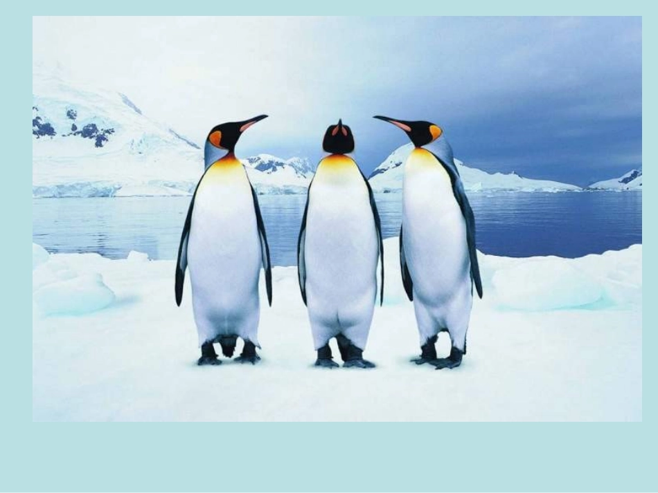 七年级上册《生物生存的环境》ppt_第3页