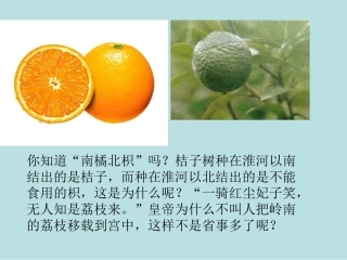 七年级上册《生物生存的环境》ppt