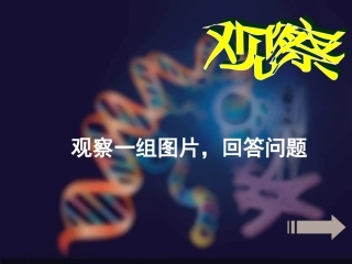 基因控制生物的性状