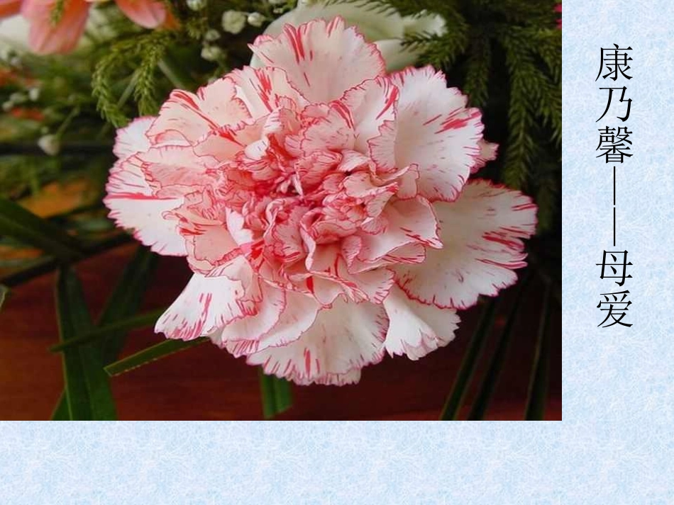 紫藤萝瀑布-(3)_第3页