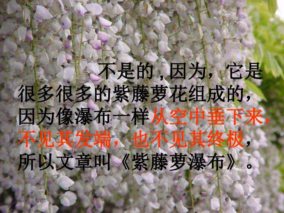 (部编)初中语文人教2011课标版七年级下册17《紫藤萝瀑布》_第2页