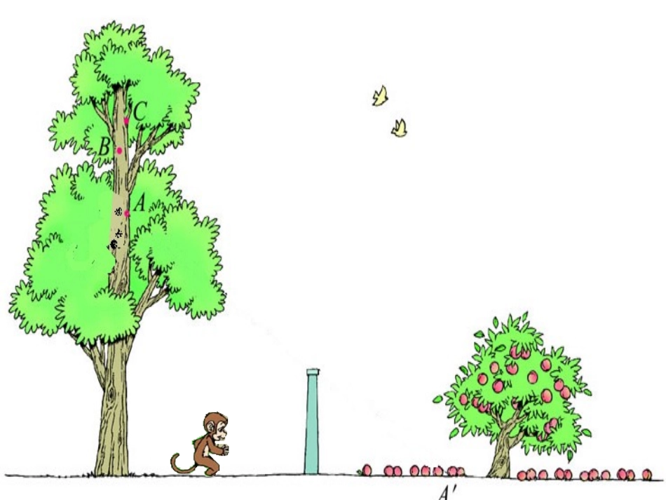 观察的范围[1]._第3页