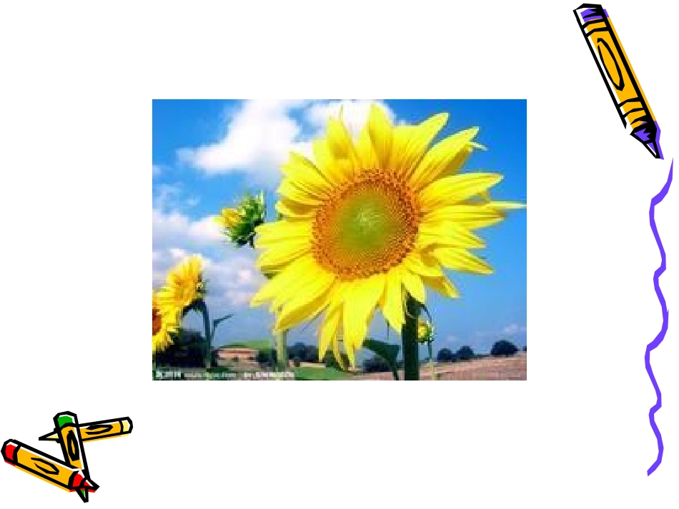 795圆的认识_第2页