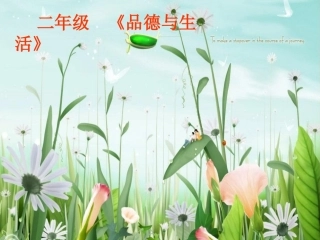 (人教新课标)二年级品德与生活下册课件-我们的大地妈妈-3