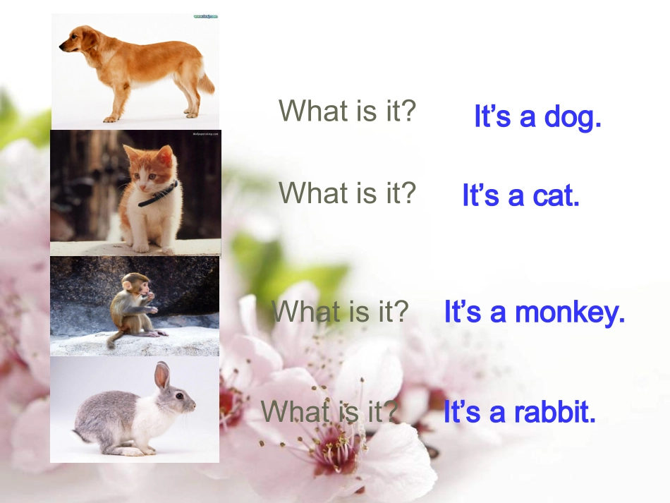 Unit6-At-a-farm-A-Let's-learn-PPT课件_第2页