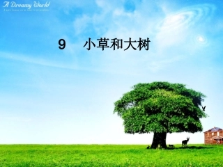 9小草和大树