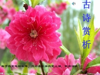 古诗赏析黄鹤楼送孟浩然之广陵ppt
