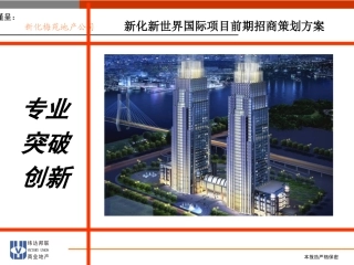 新化新世界国际项目前期招商策划方案