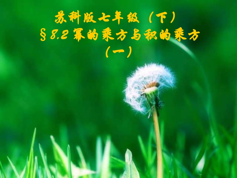 幂的乘方与积的乘方.2幂的乘方和积的乘方1课件_第1页