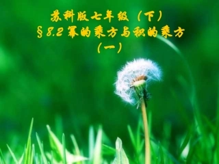 幂的乘方与积的乘方.2幂的乘方和积的乘方1课件