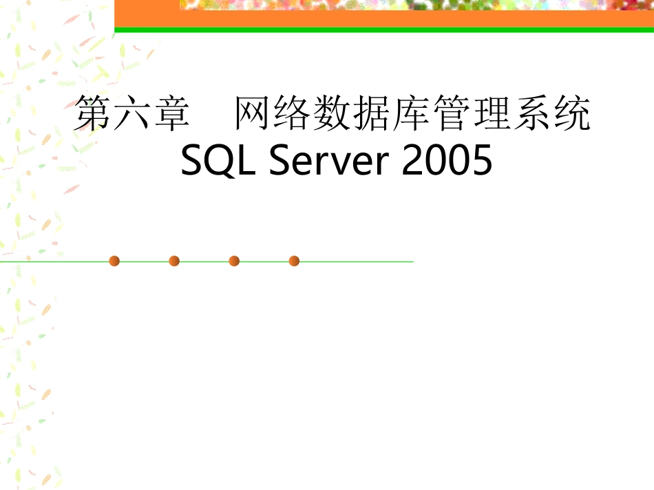 网络数据库管理系统SQL-Server-2005_第1页