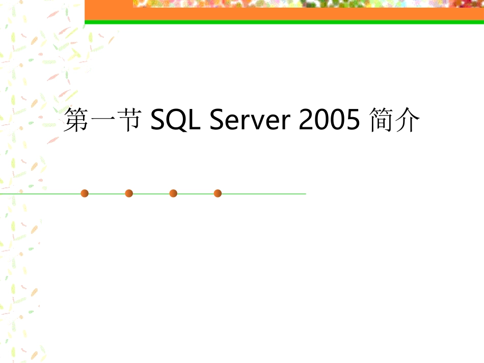 网络数据库管理系统SQL-Server-2005_第2页