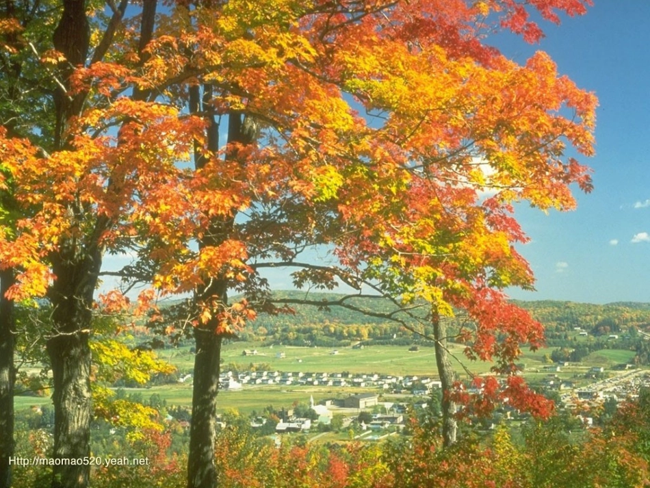 二年级上-识字1_第2页