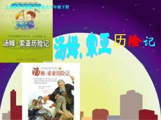 17-《汤姆·索亚历险记》-课件3