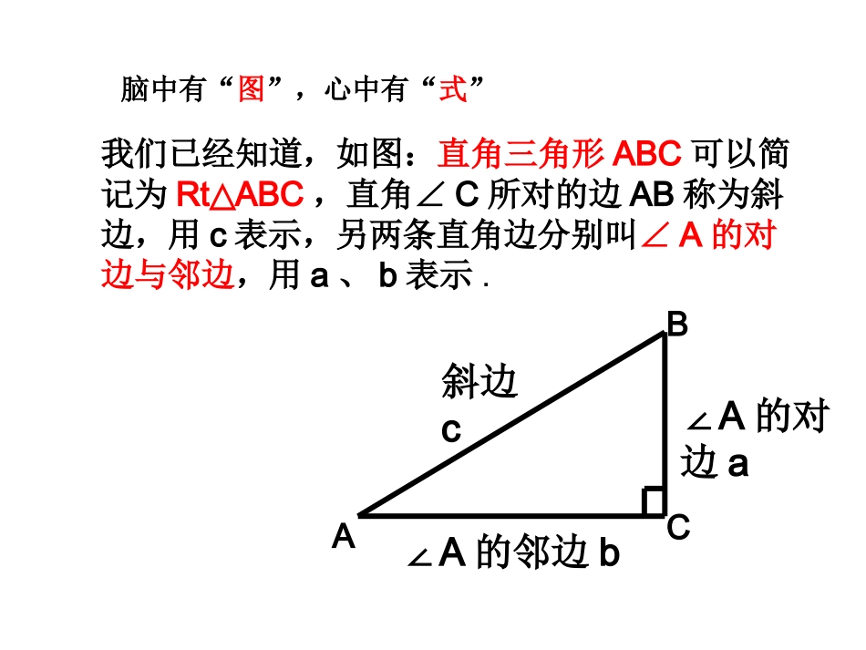 锐角三角函数PPT刘林_第2页