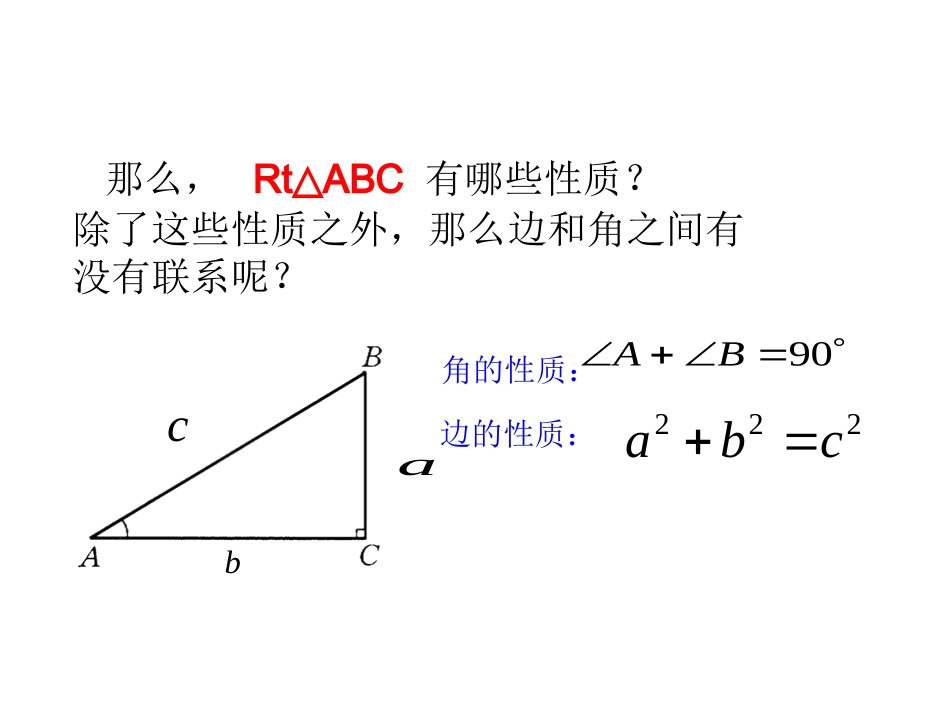 锐角三角函数PPT刘林_第3页