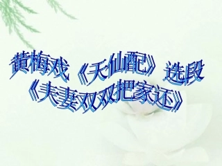 黄梅戏《天仙配》选段《夫妻双双把家还》课件