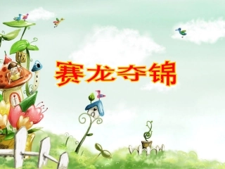《赛龙夺锦》课件02