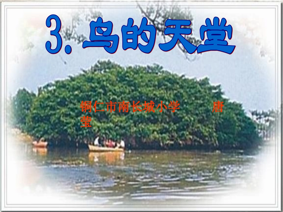 四年级语文上册第一组3.鸟的天堂课件_第1页