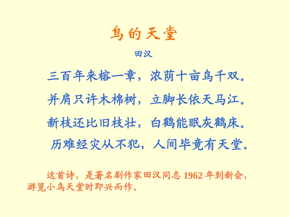 四年级语文上册第一组3.鸟的天堂课件_第2页