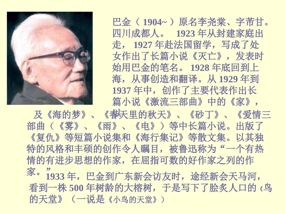 四年级语文上册第一组3.鸟的天堂课件_第3页