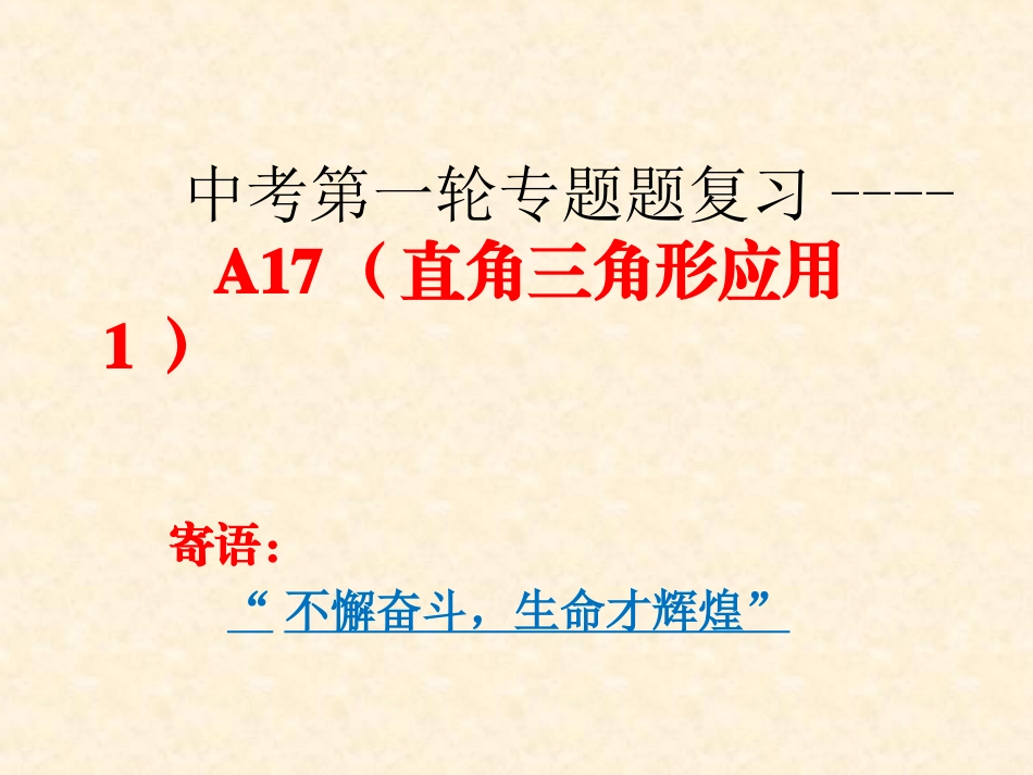 中考第一轮复习：A17专题复习_第1页