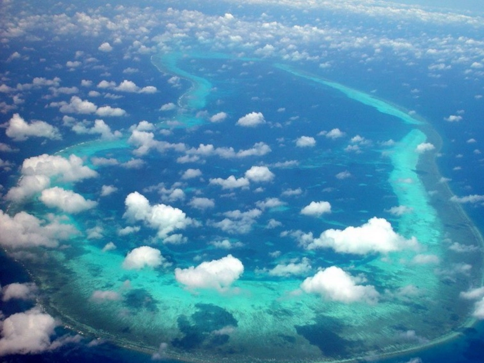 人教版六年级语文上册第七课彩色的翅膀课件_第2页