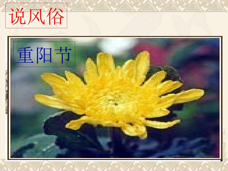 汪德怀端午的鸭蛋_第1页
