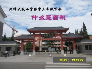 《什么是面积》