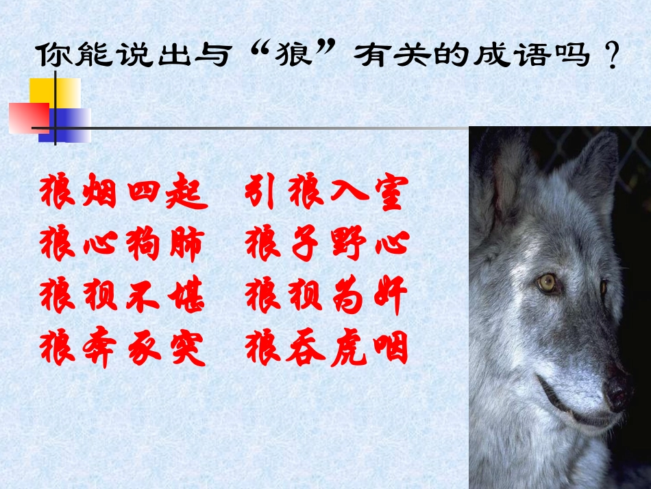 【精品课件】第30课--狼_第2页