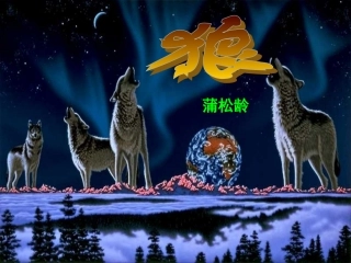 【精品课件】第30课--狼