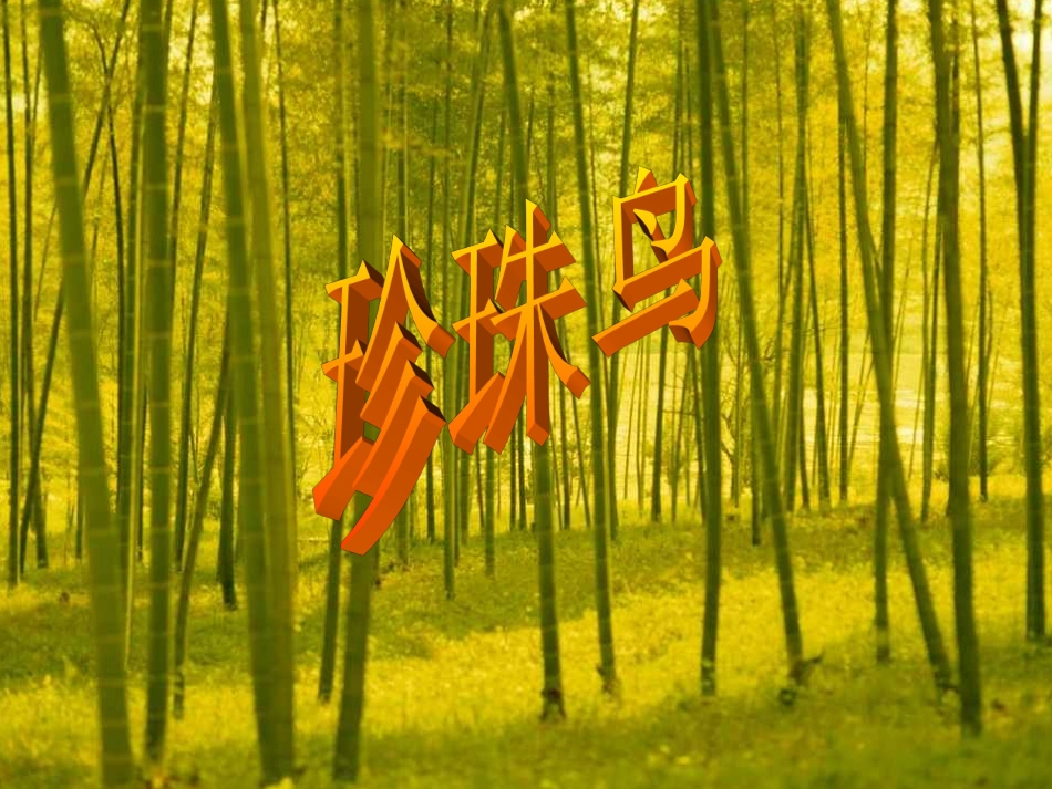 1308珍珠鸟_第1页