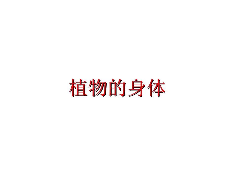 青岛版小学科学四年级上册《植物的身体》课件1_第1页