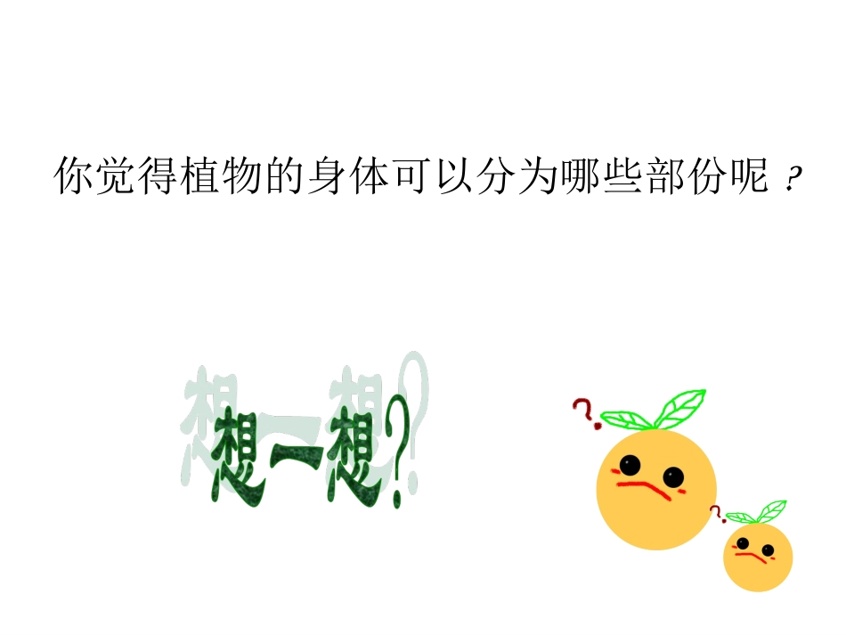 青岛版小学科学四年级上册《植物的身体》课件1_第3页