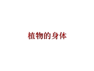 青岛版小学科学四年级上册《植物的身体》课件1