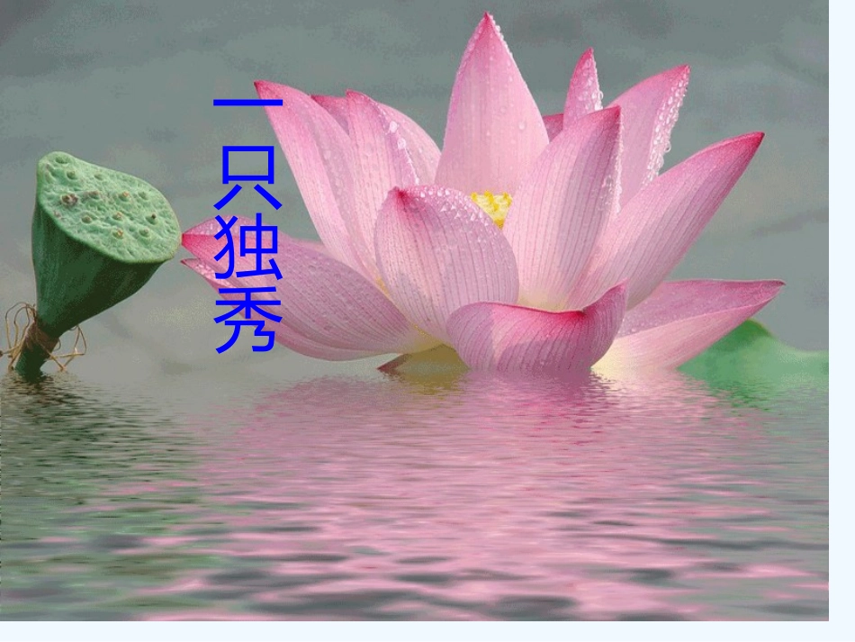 (部编)初中语文人教2011课标版七年级下册16《爱莲说》_第2页