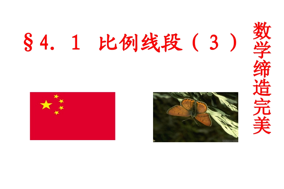 4.1-比例线段(3)-校公开课用sky_第2页