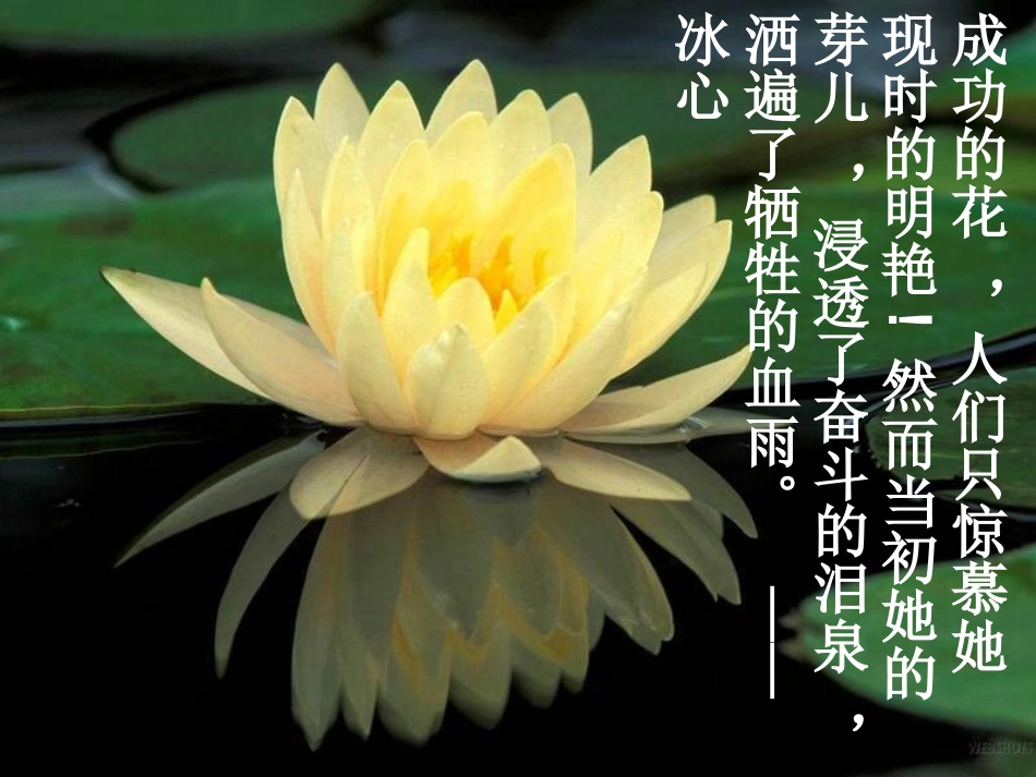 北大是我美丽羞涩的梦_第1页