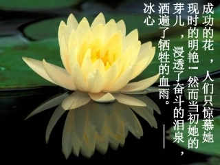 北大是我美丽羞涩的梦