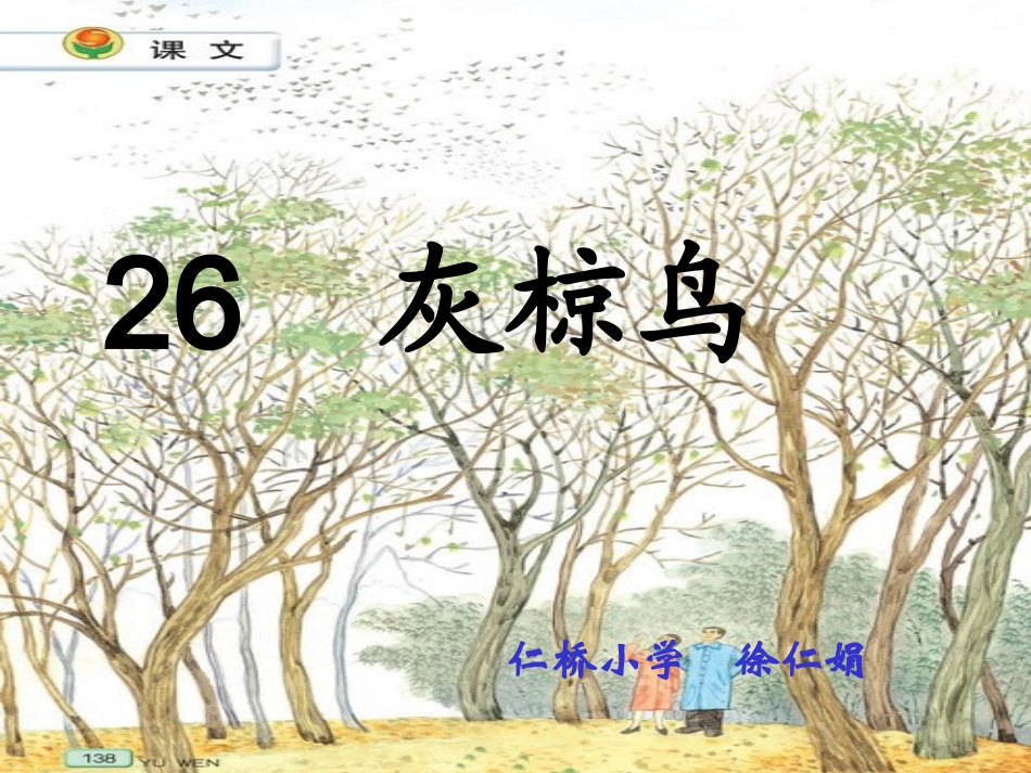 灰椋鸟ppt_第2页