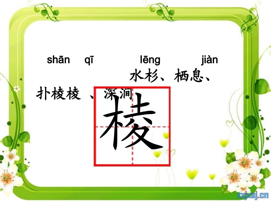 灰椋鸟ppt_第3页