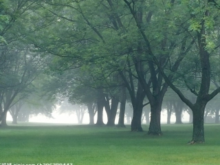 二年级上册《父亲和鸟修改.